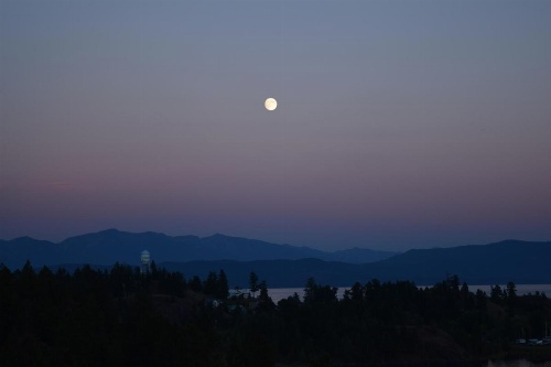 Outlook Inn Bed and Breakfast image 38